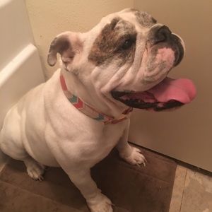 Meet your Posher, Billy